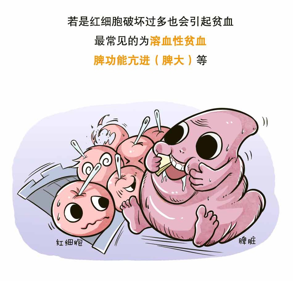 警报！造血细胞异常请及时检查