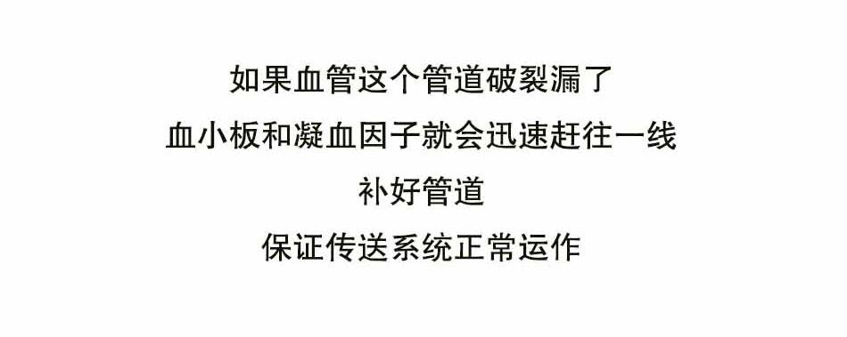 血友病是个啥_05.jpg