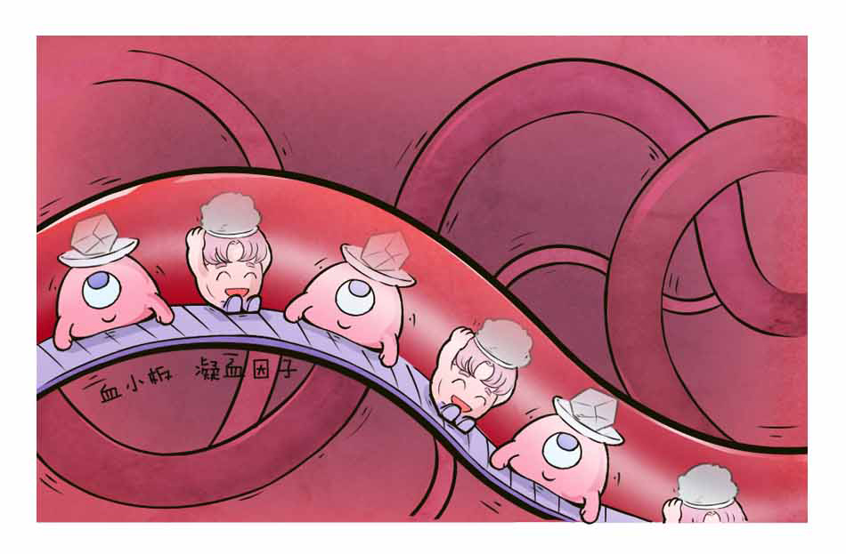 血友病是个啥_04.jpg