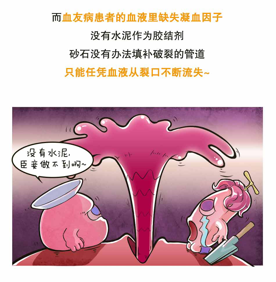 血友病是个啥_07.jpg