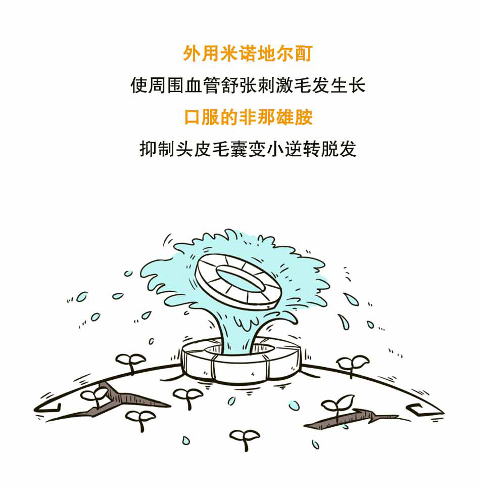 论脱发的自我修养_11.jpg