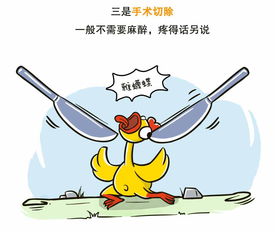 鸡眼很小，世界很大_24.jpg