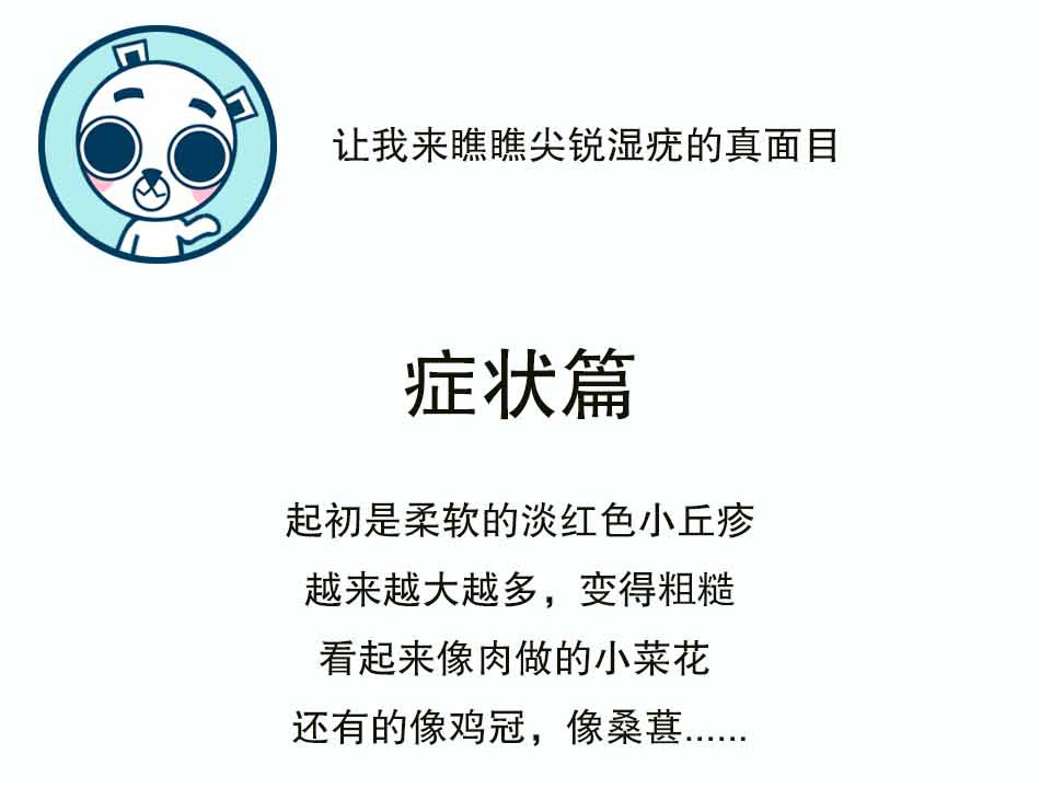 尖锐湿疣-长得像菜花也是罪过_03.jpg