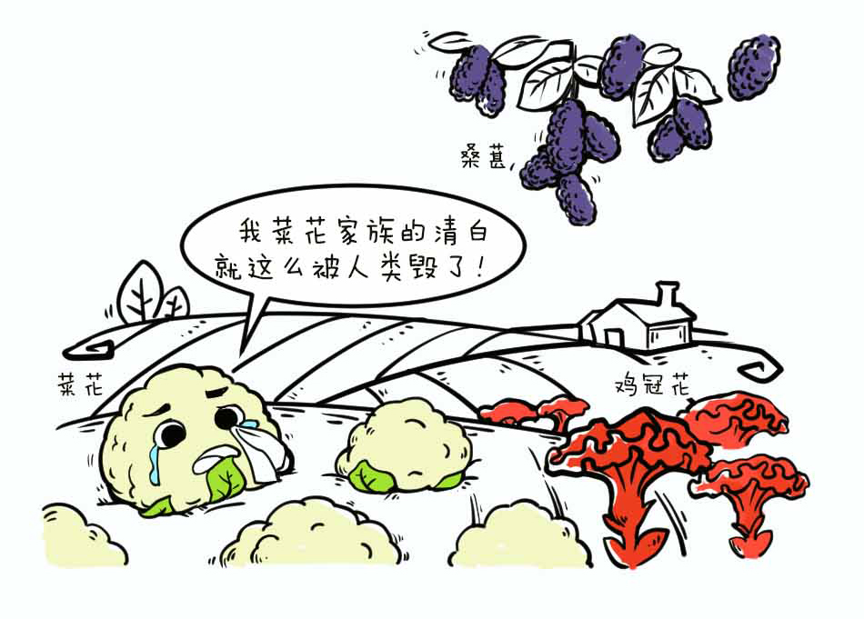 尖锐湿疣-长得像菜花也是罪过_04.jpg