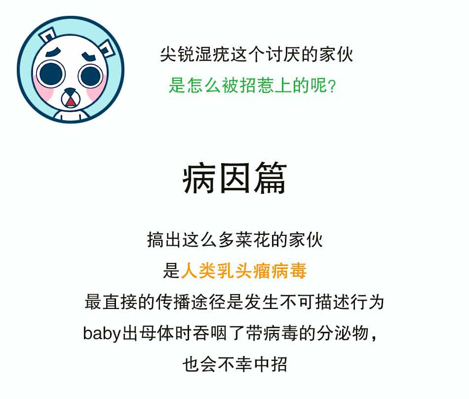 尖锐湿疣-长得像菜花也是罪过_05.jpg