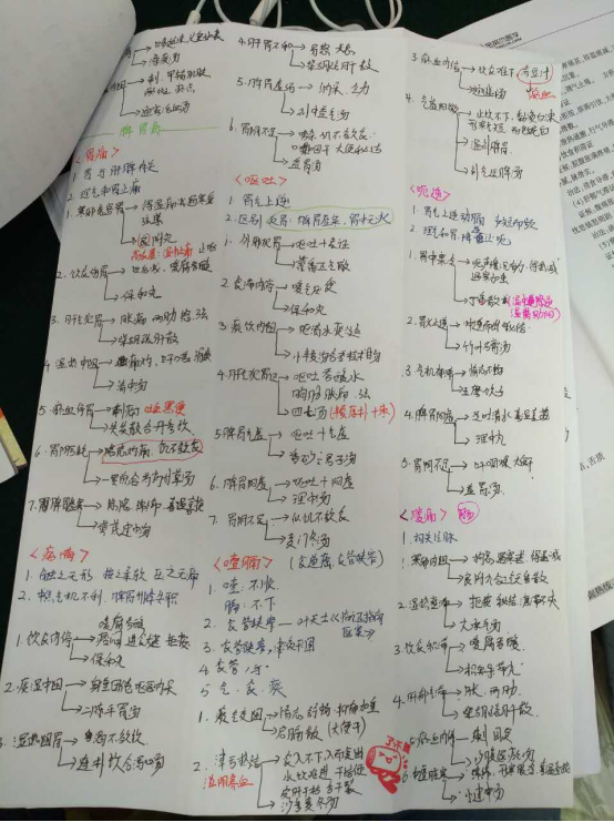 金英杰医学教育高端班：一个医考通关率达到96%的神秘班级